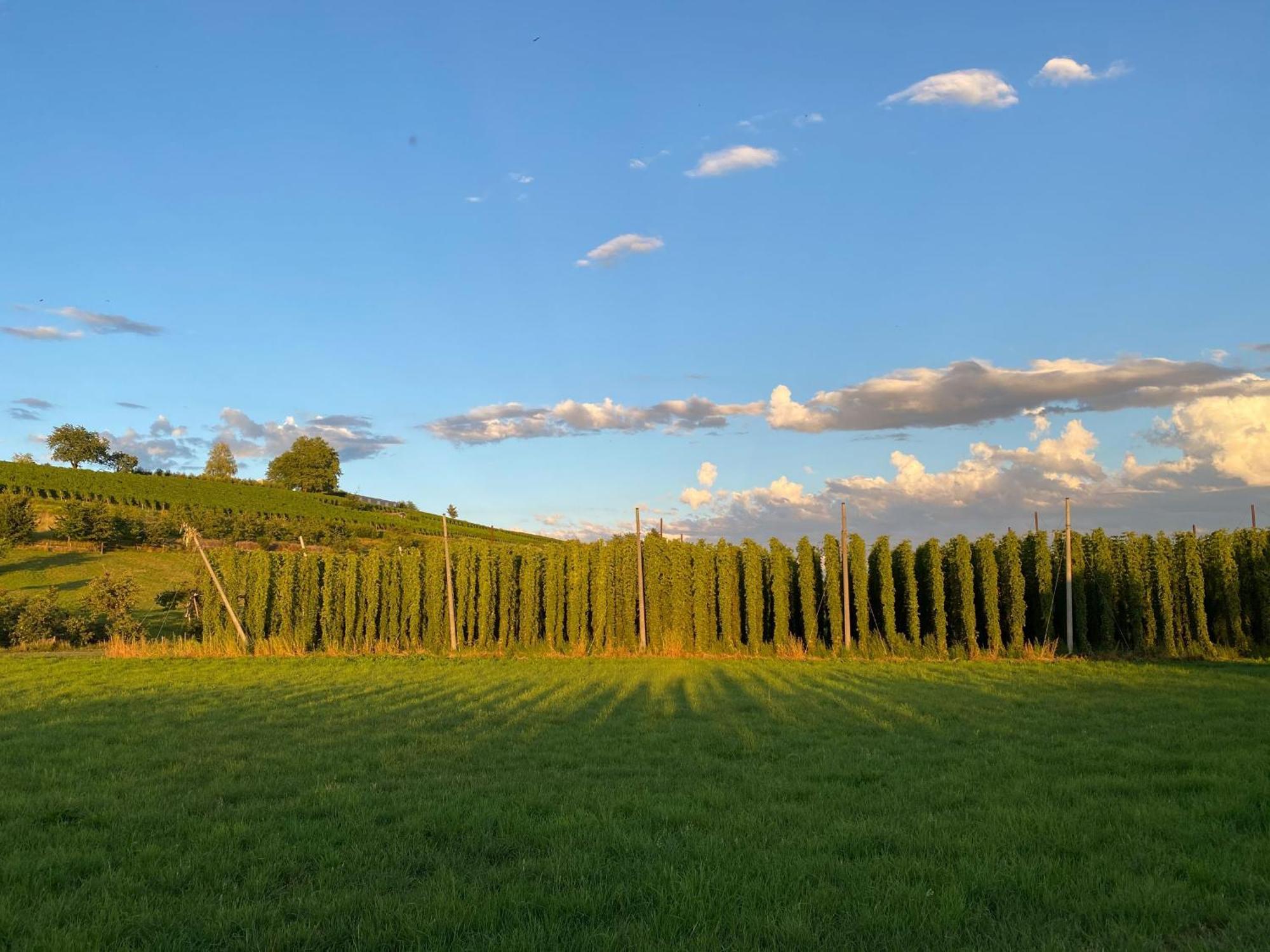 Beim Dorfbach - Die Hofchalets Kressbronn am Bodensee Εξωτερικό φωτογραφία